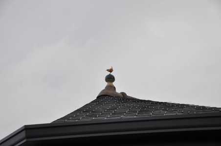 Troglodyte posé sur un épis calice sur un toit